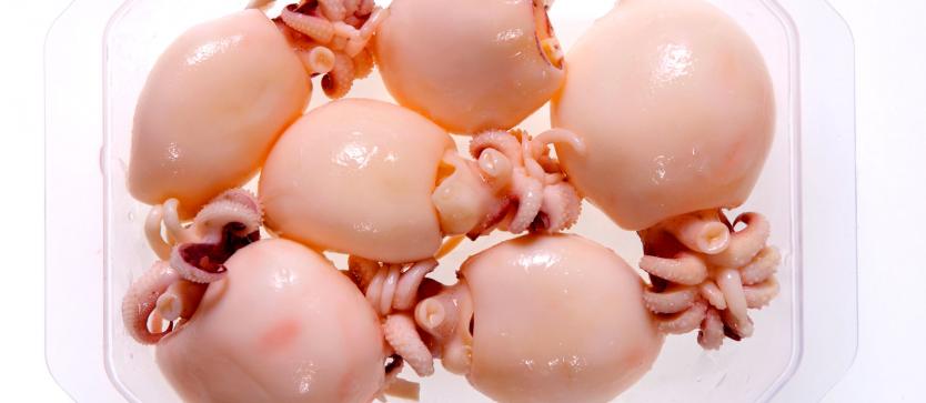 CUTTLEFISH